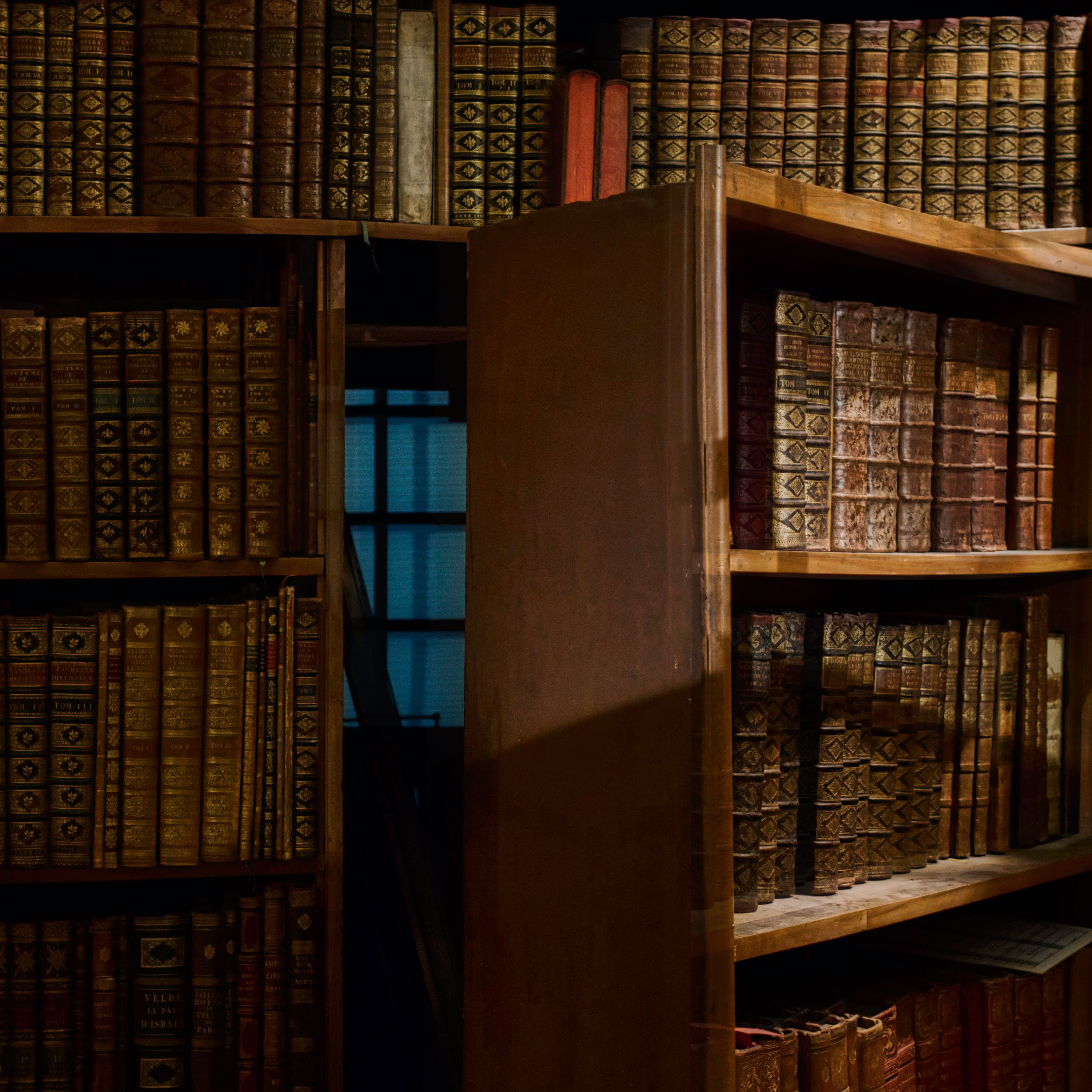 An image of a secret passage opening behind a bookcase. Credit to Stefan Steinbauer on Unsplash.