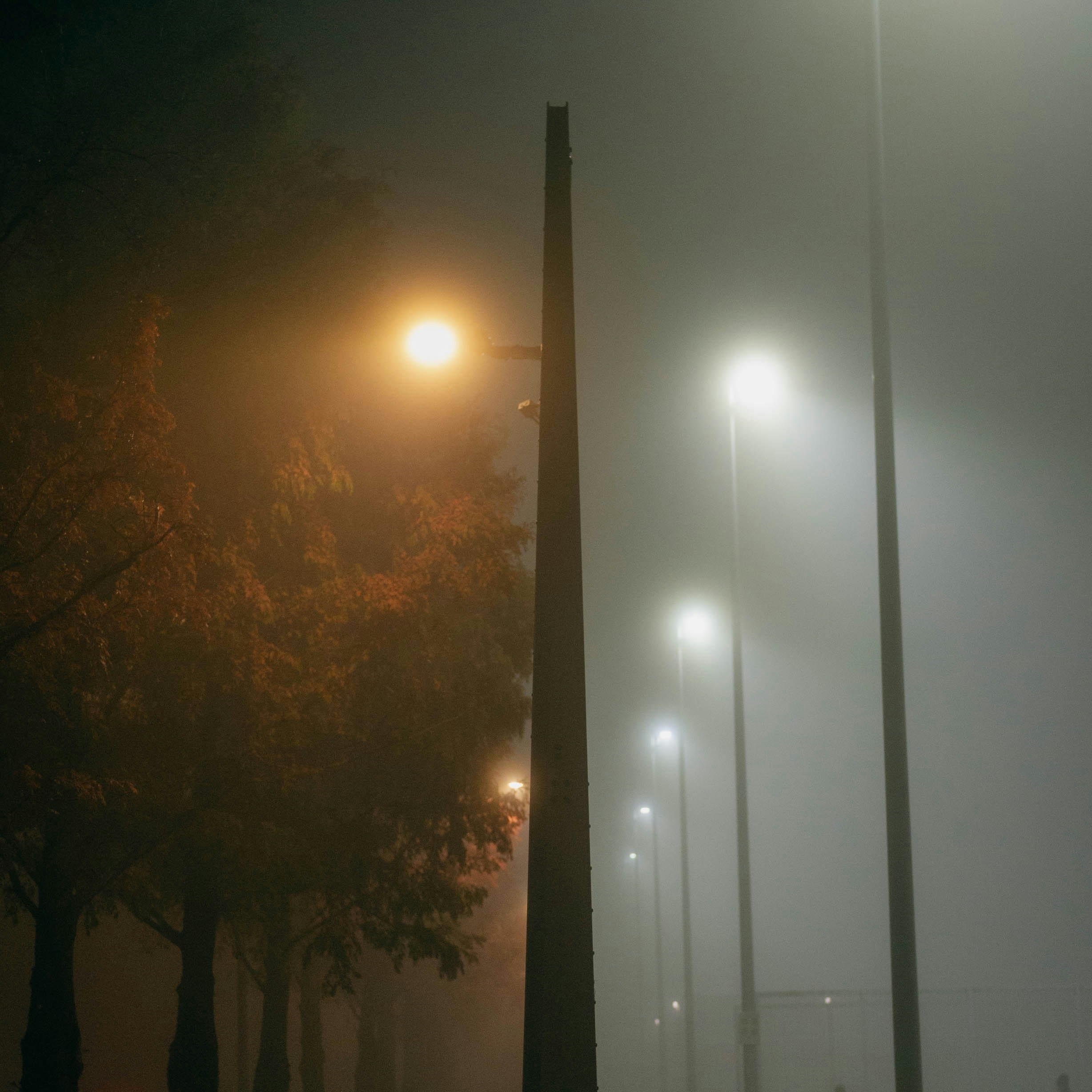 A photo of foggy streetlamps and a tree in a park at night. Photo by Daniel Stiel on Unsplash.